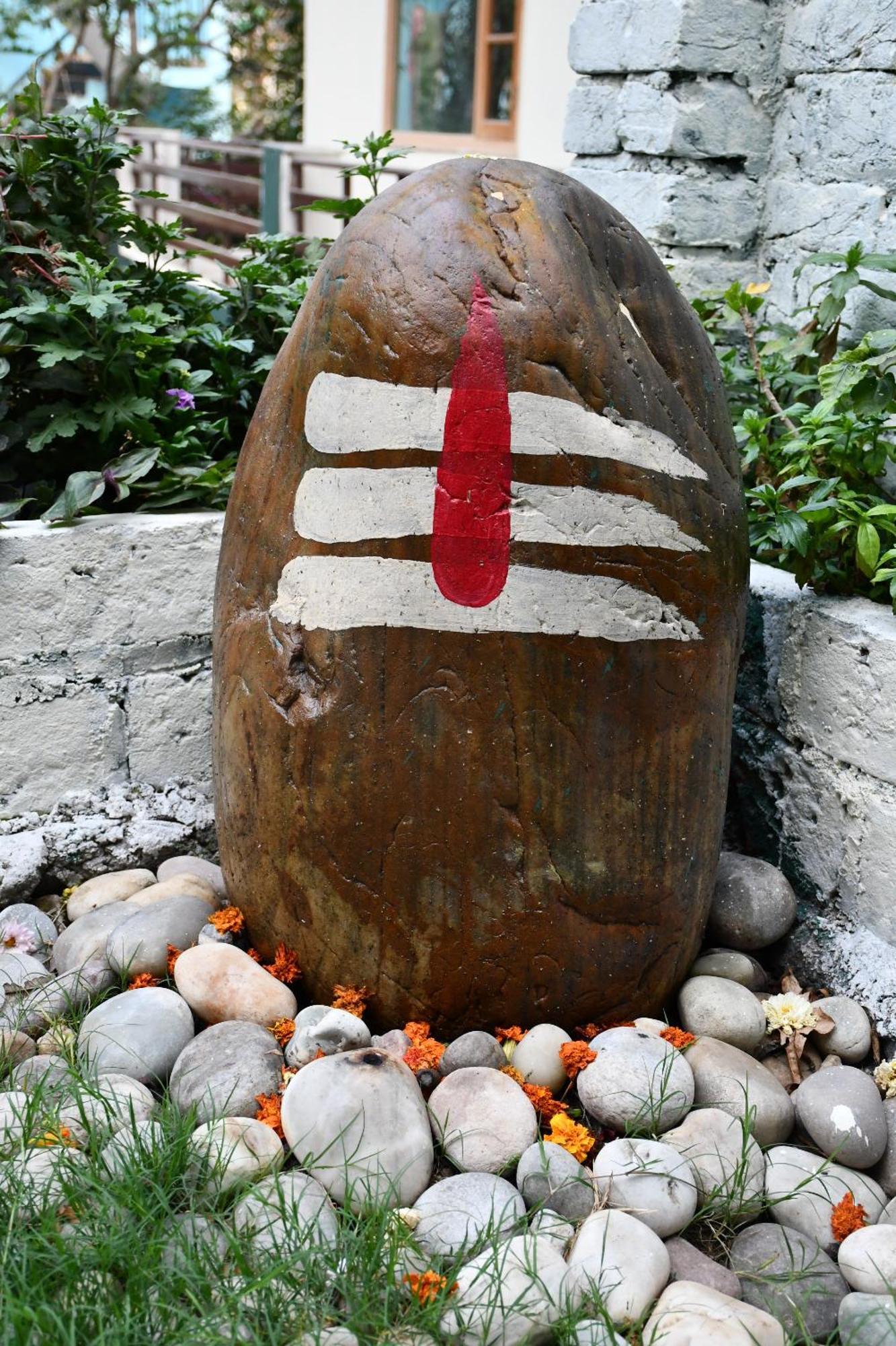 Shivansh Green Resort Rishīkesh Zewnętrze zdjęcie